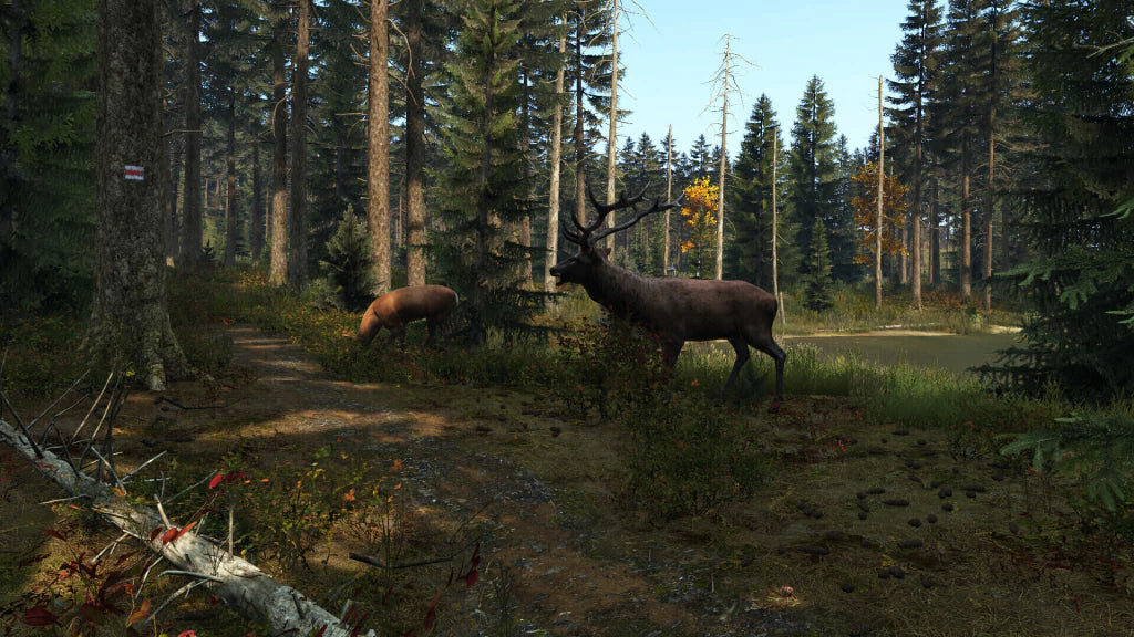 Gameplay e captura de tela de Dayz - PS4