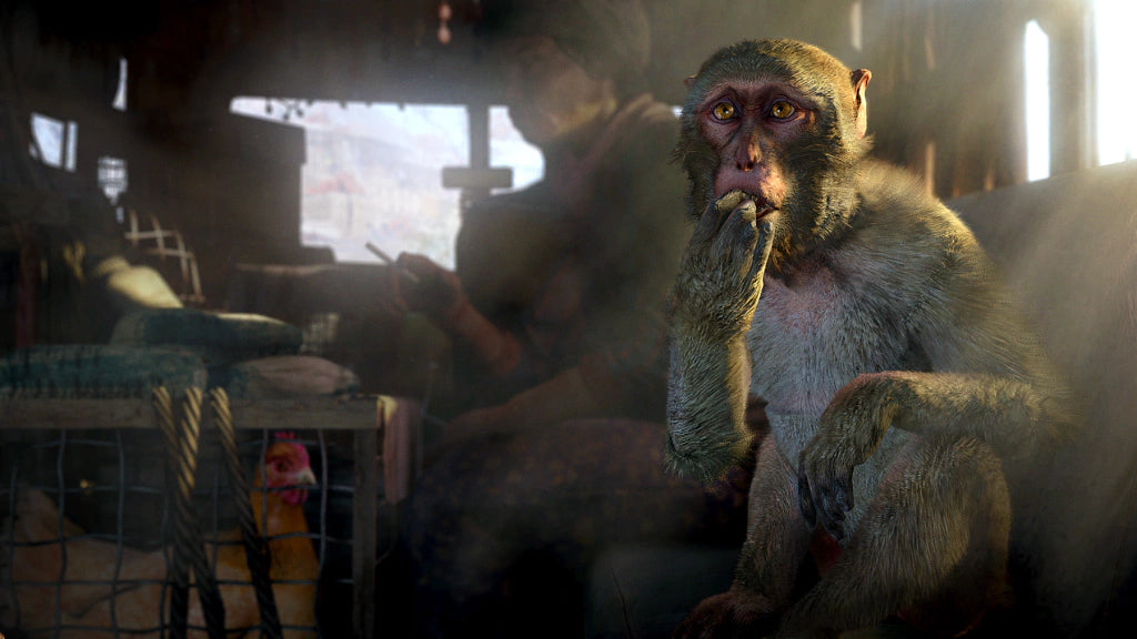 Gameplay e captura de tela de Far Cry 4 - PS4