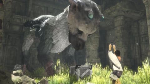 The Last Guardian - PS4