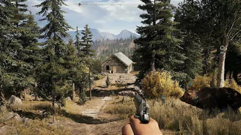 Far Cry 5 - PS4