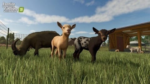 Farming Simulator 25 - Ps5