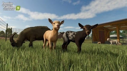 Farming Simulator 25 - Ps5