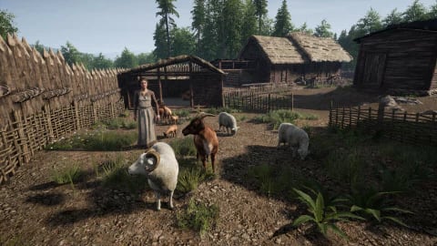 Medieval Dynasty - PS4