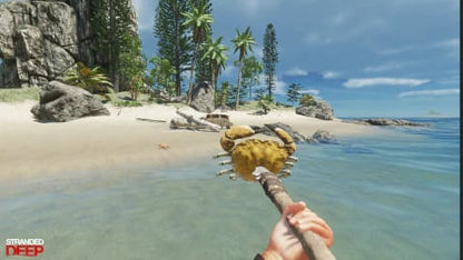 STRANDED DEEP - PS4